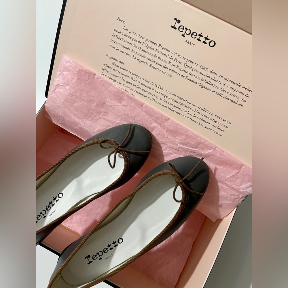NEW, Repetto Cendrillon Ballet Flats in Limited-Edition Dark Grey Leather